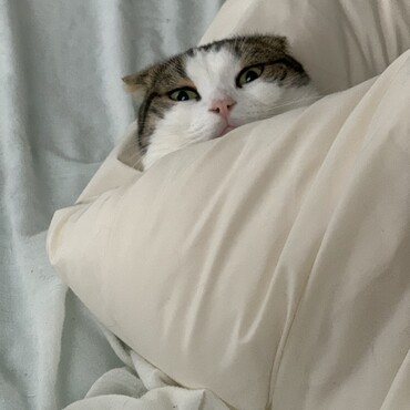 の写真