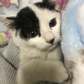 一時募集中断しています