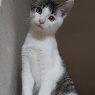 甘えん坊のロンド君♡