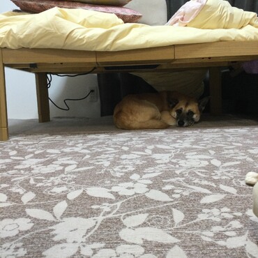 スタンバイ