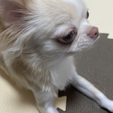 の写真
