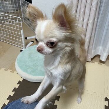 の写真