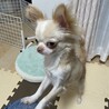 の写真