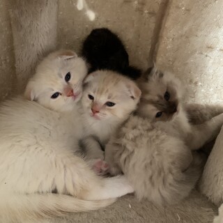 今応募していただいた方の中で決めます。