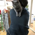 大切に育ててくれる方