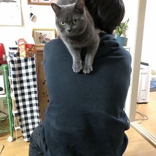 大切に育ててくれる方