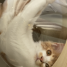 れぃ0907
