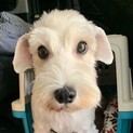 健康状態の項目をよくお読み下さい。