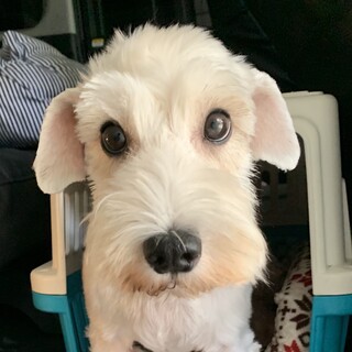 健康状態の項目をよくお読み下さい。