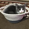 見学歓迎　ふわふわ　ねねちゃん