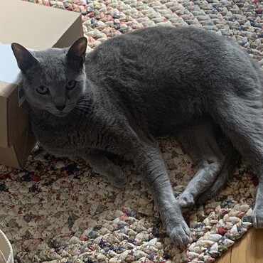 (内緒！)の写真