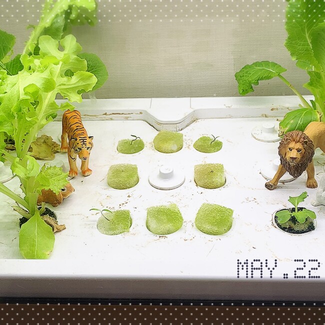 スケトウダラすりみのカバー写真