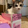 YUKI