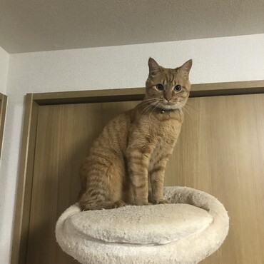 の写真