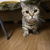 うに
