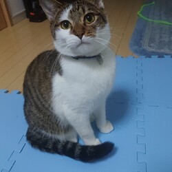 「生後８ヶ月」サムネイル1