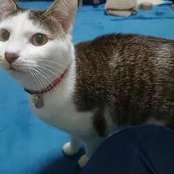 「生後８ヶ月」サムネイル2