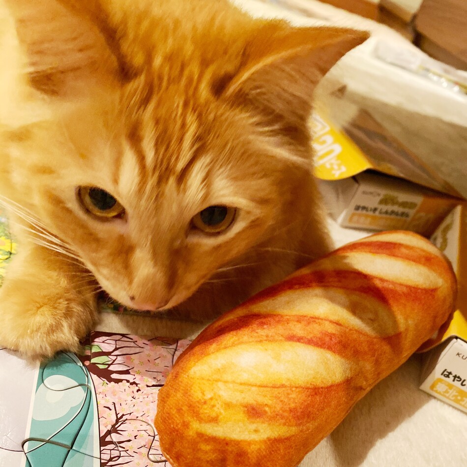 もち吉のカバー写真
