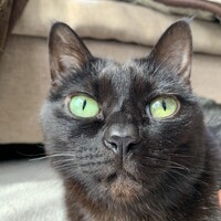 まろ