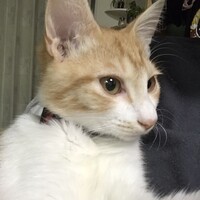 なおまさ