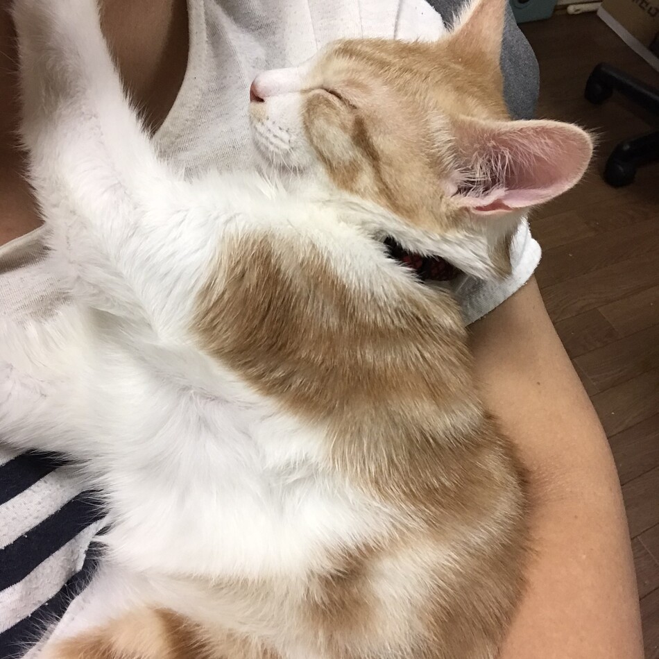 なおまさのカバー写真