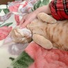 前足がかわいい♡
