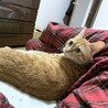 ベッドの上で…♡