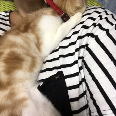 の写真