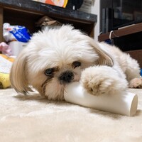 こっぺ
