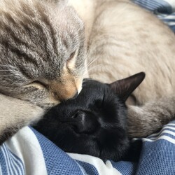 お久しぶりです