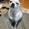 の写真