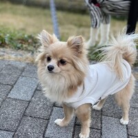細川くう