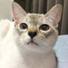 白