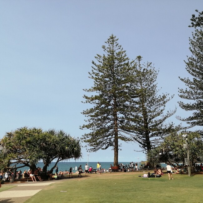 しゅたいんのカバー写真