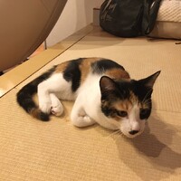 くるり