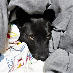 「予備暖房」サムネイル1