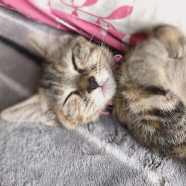 遊び疲れました