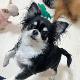 素敵な家族ができました、ありがとうございました♪