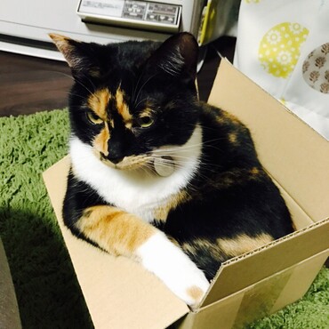 悩みなら聞くよ。