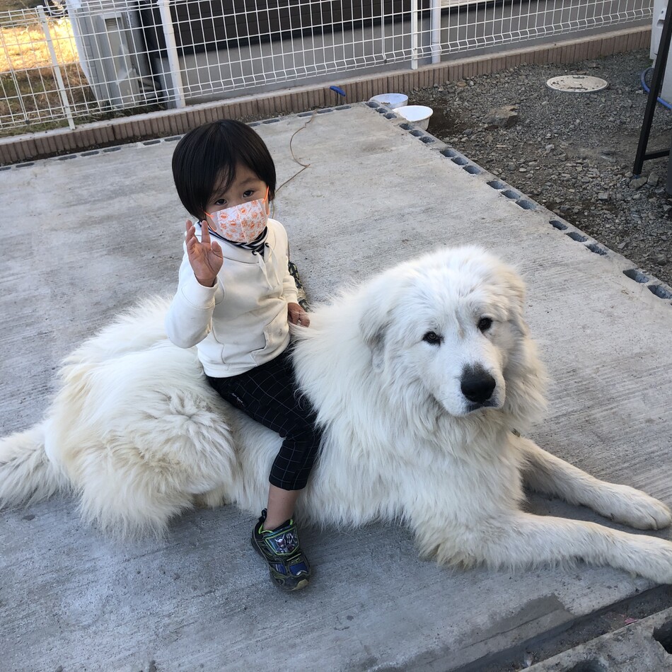 サムのカバー写真