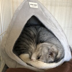 4年も経つと・・・