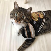 おかき