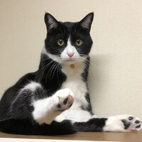 のっち
