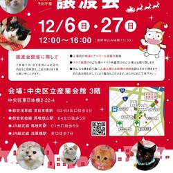 ねこざんまい譲渡会＠東日本橋