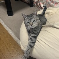 まめ