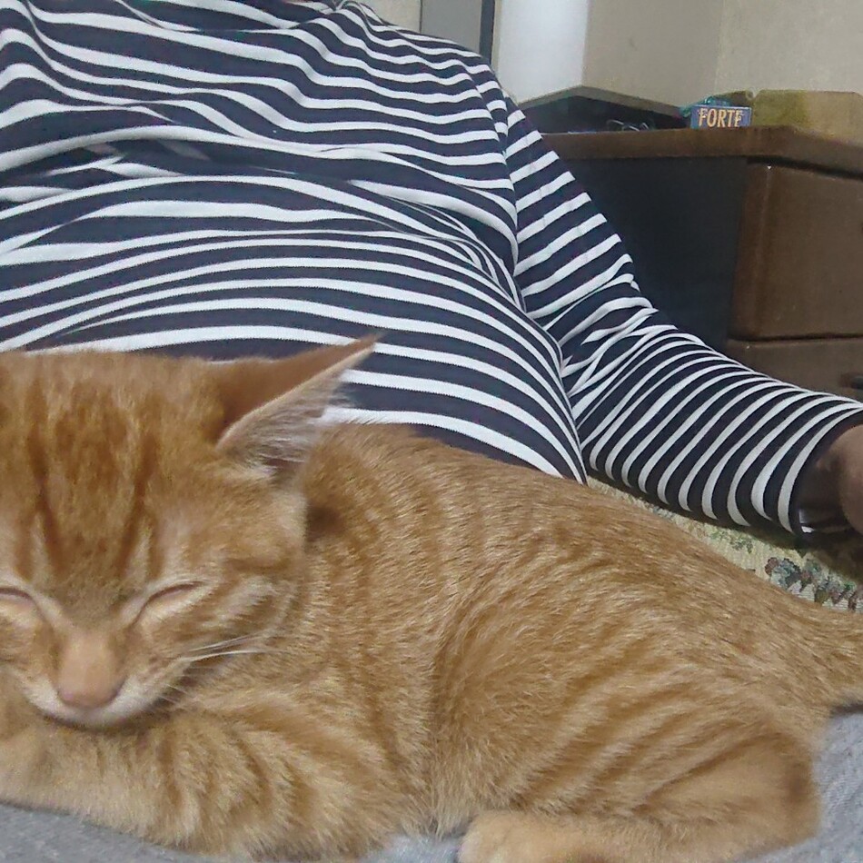 うーたんのカバー写真