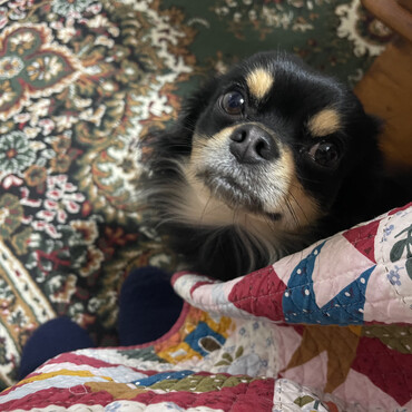 ヌッ！　