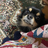 ヌッ！　