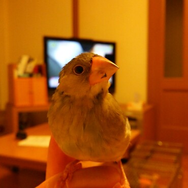 一人でご飯を食べられるようになりました
