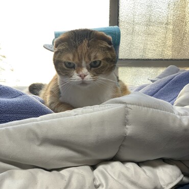 の写真
